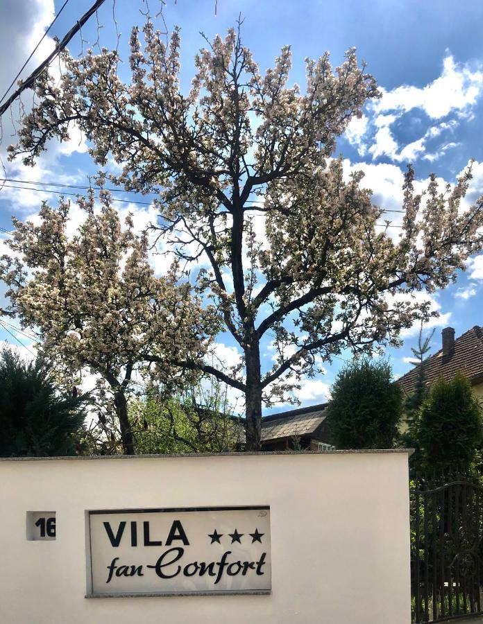 Vila Fan Confort Vişeu de Sus Eksteriør billede