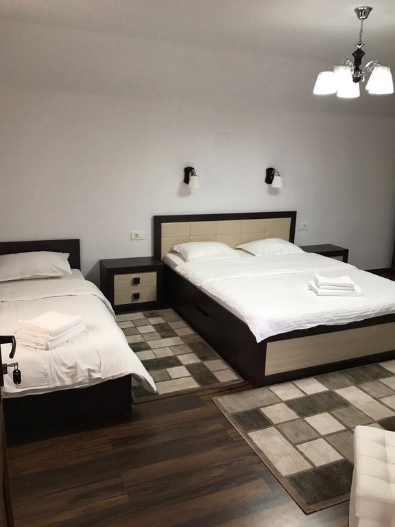 Vila Fan Confort Vişeu de Sus Eksteriør billede