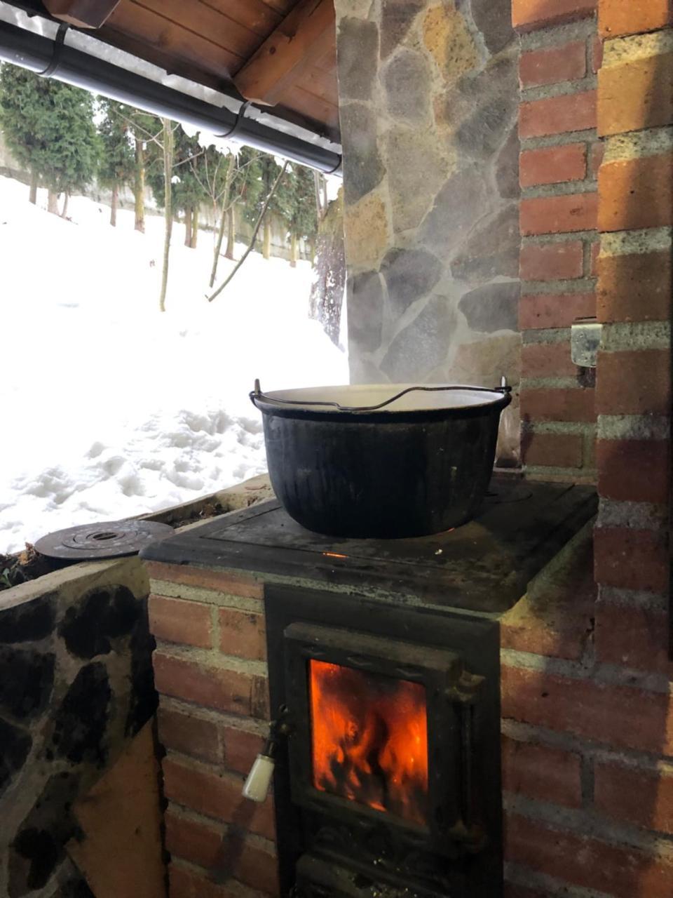 Vila Fan Confort Vişeu de Sus Eksteriør billede