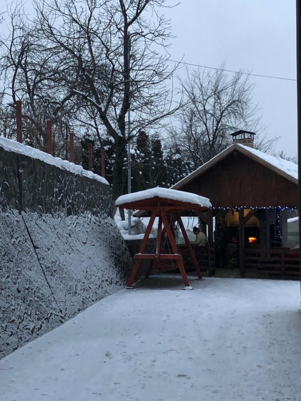 Vila Fan Confort Vişeu de Sus Eksteriør billede