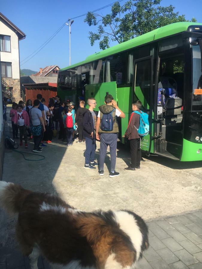 Vila Fan Confort Vişeu de Sus Eksteriør billede