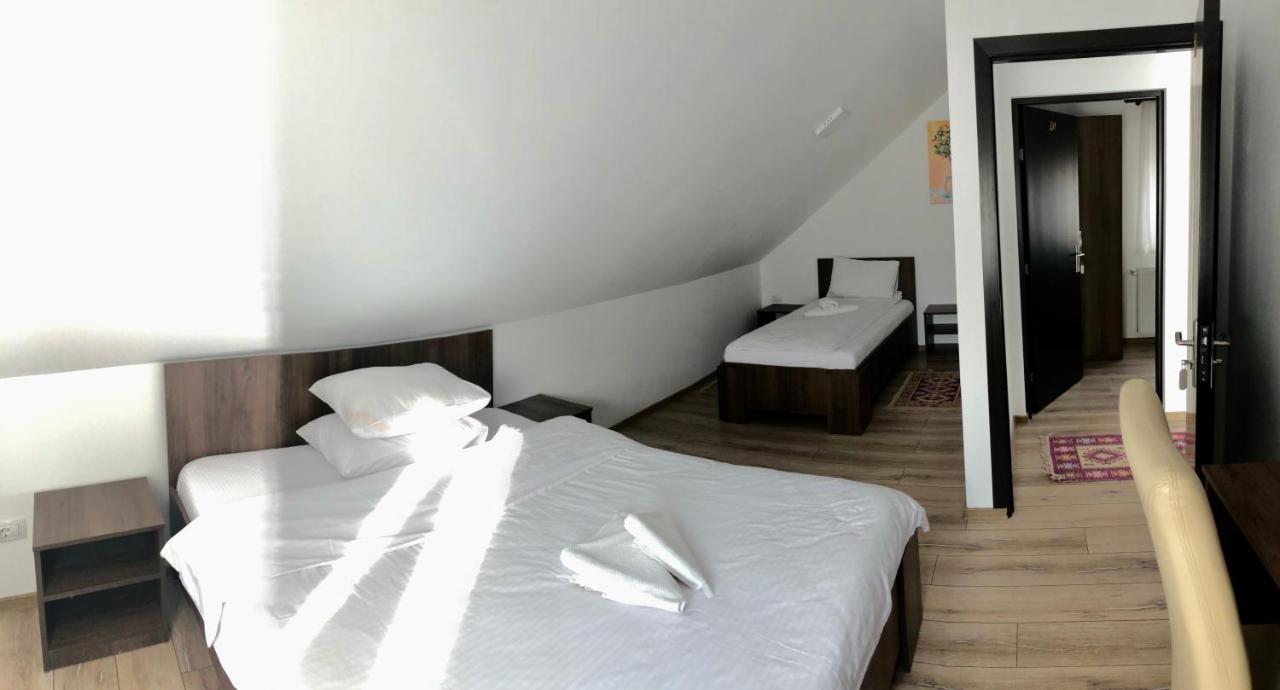 Vila Fan Confort Vişeu de Sus Eksteriør billede